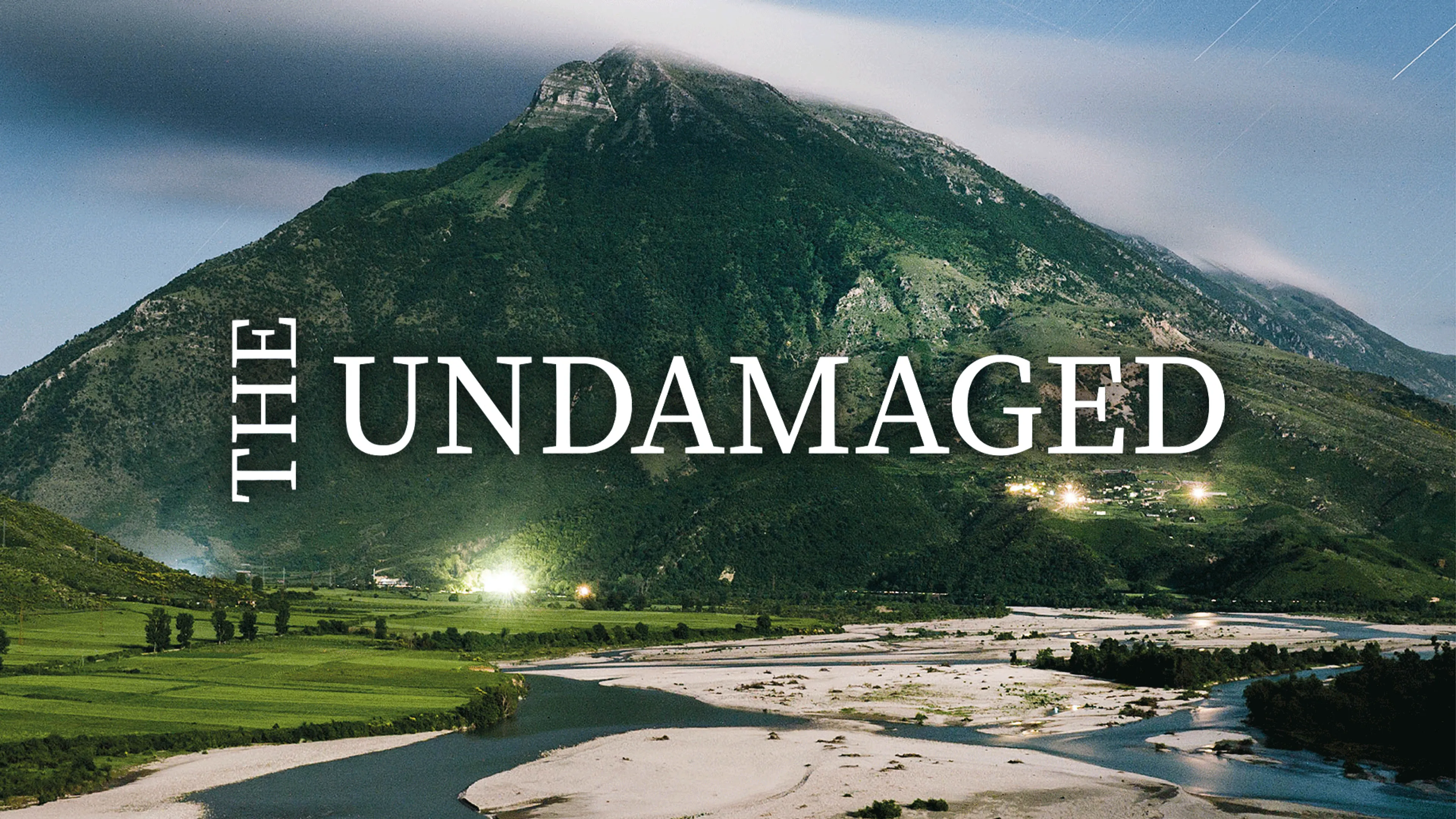 The Undamaged poster